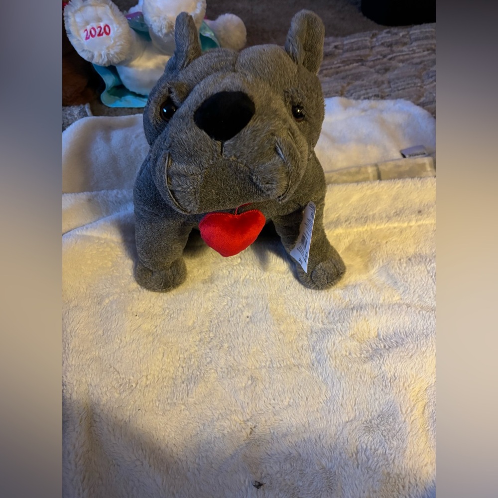 Valentine day plush dog